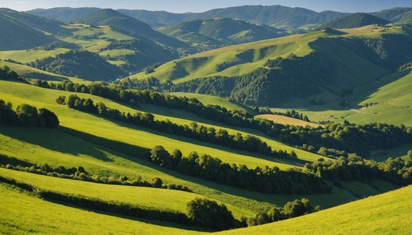 Vacances nature au coeur du pays basque : que faire et que voir